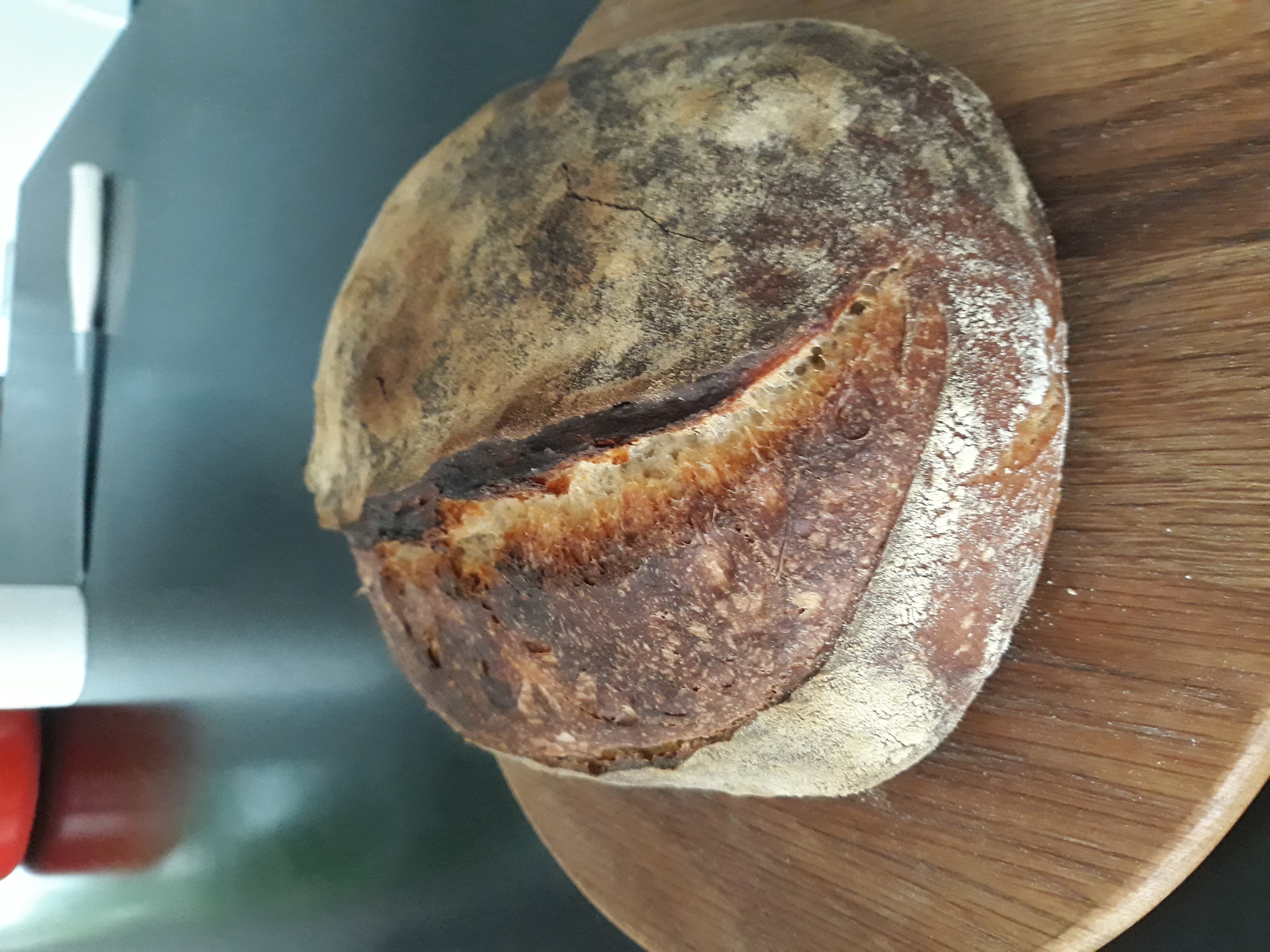 Sourdough Bread