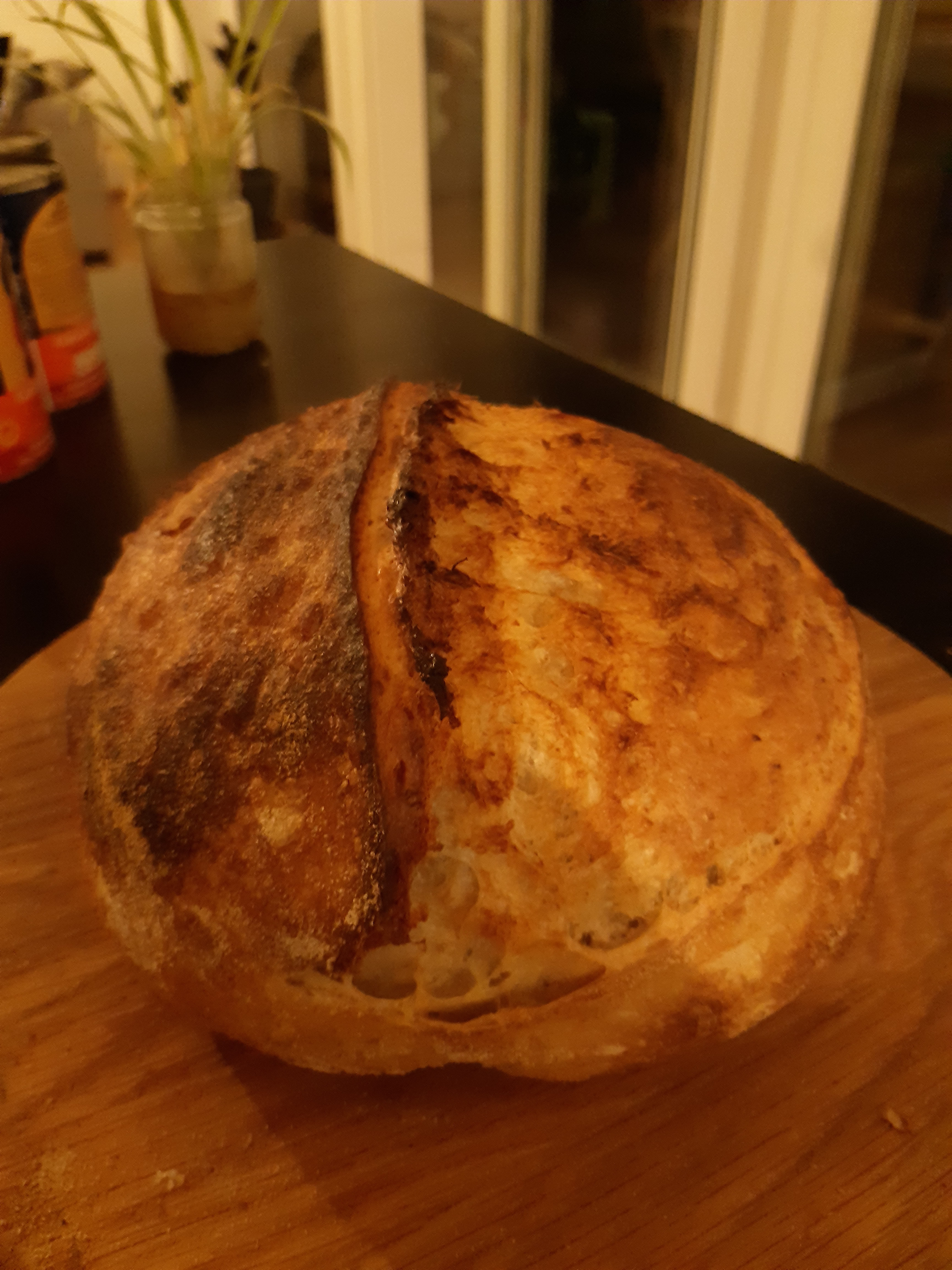 Sourdough Bread