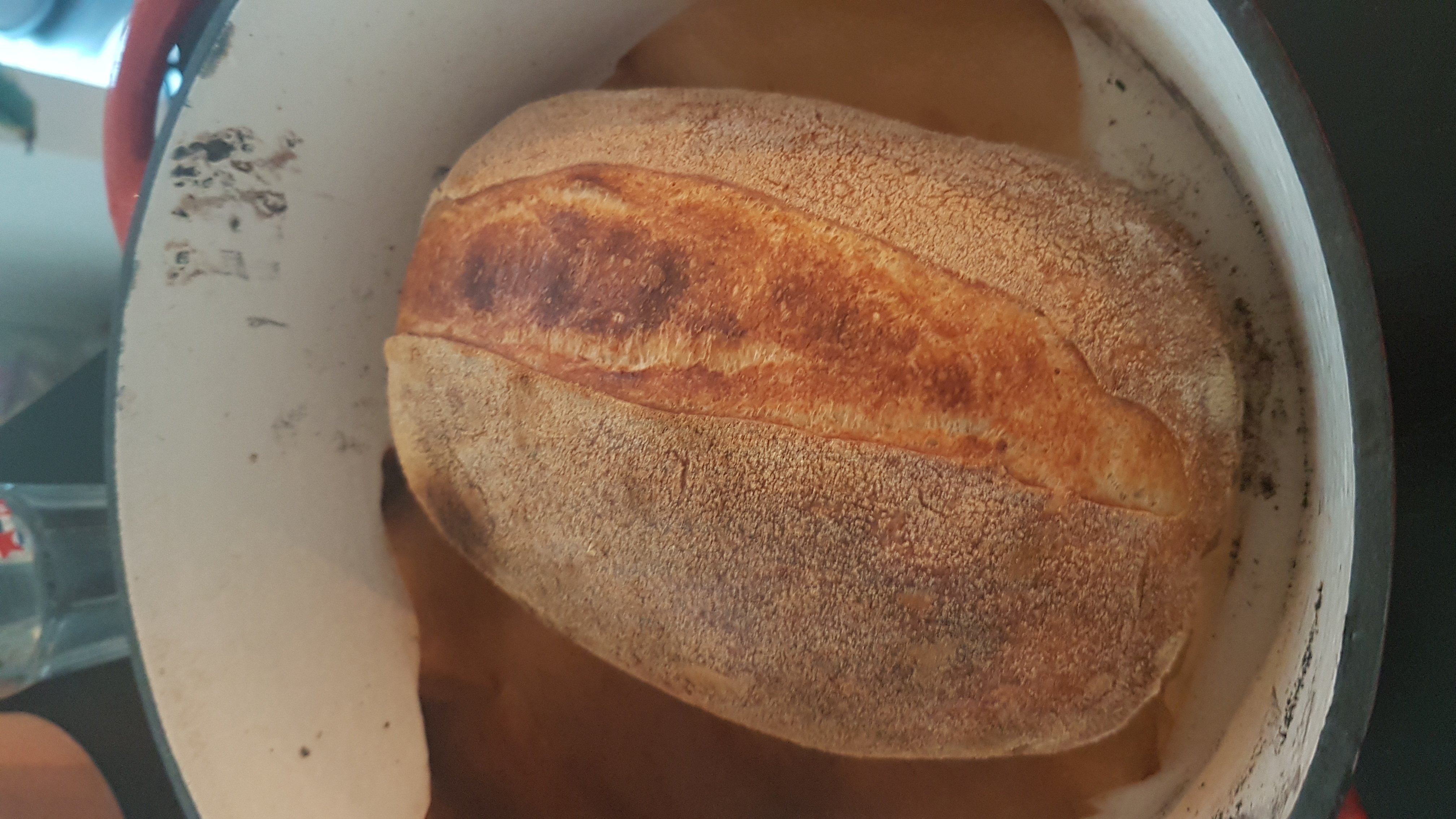 Sourdough Bread