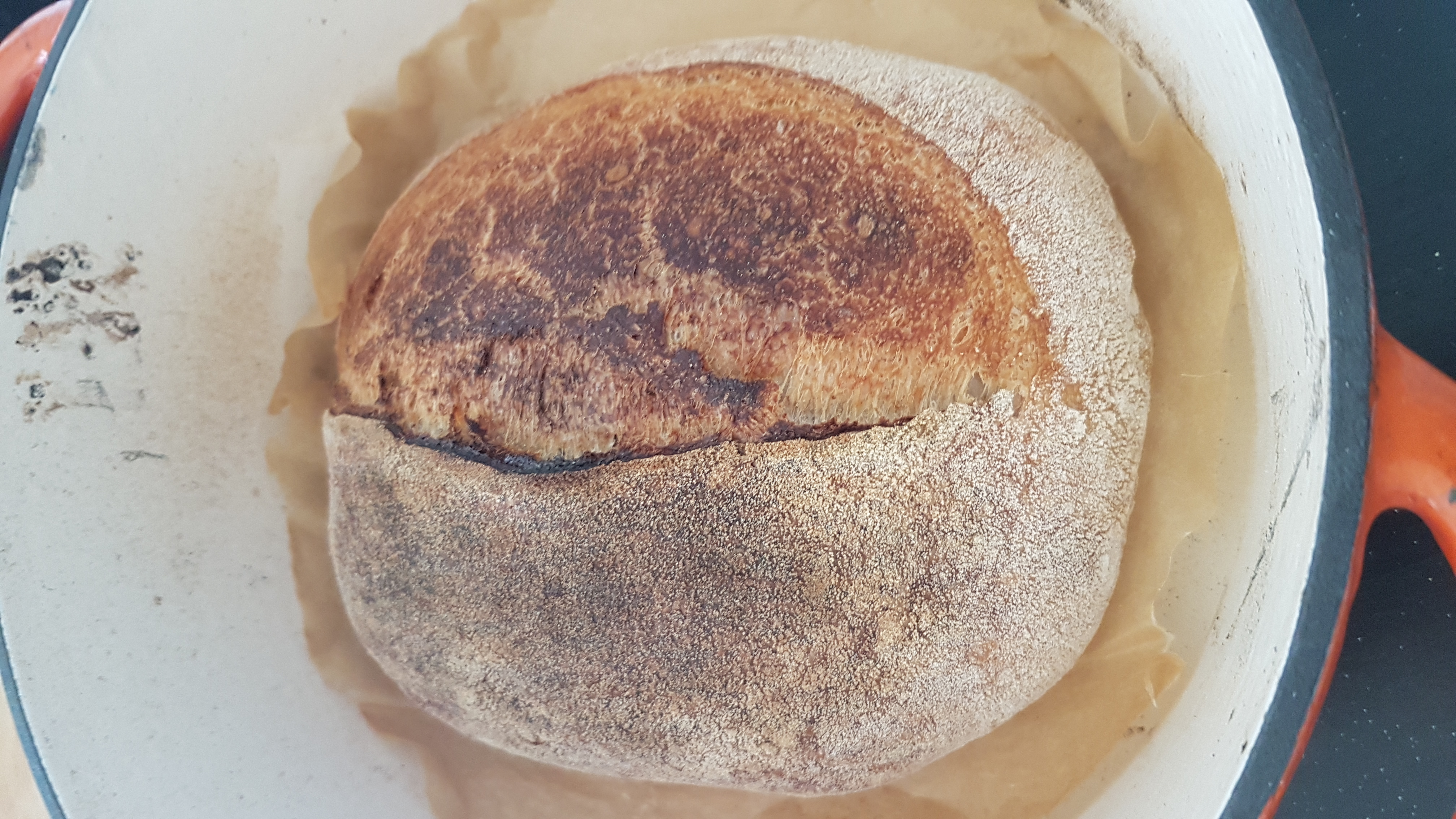 Sourdough Bread