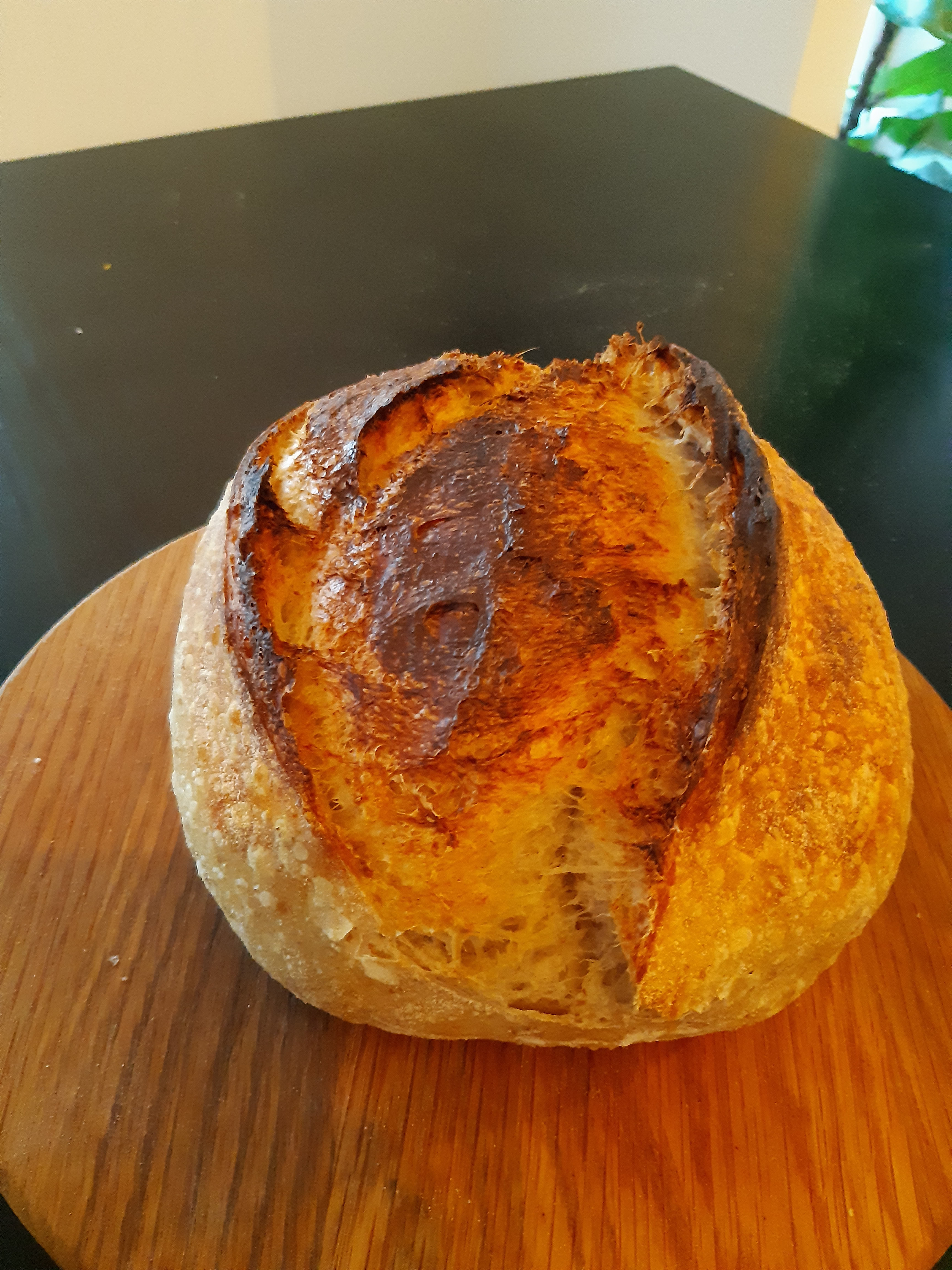 Sourdough Bread