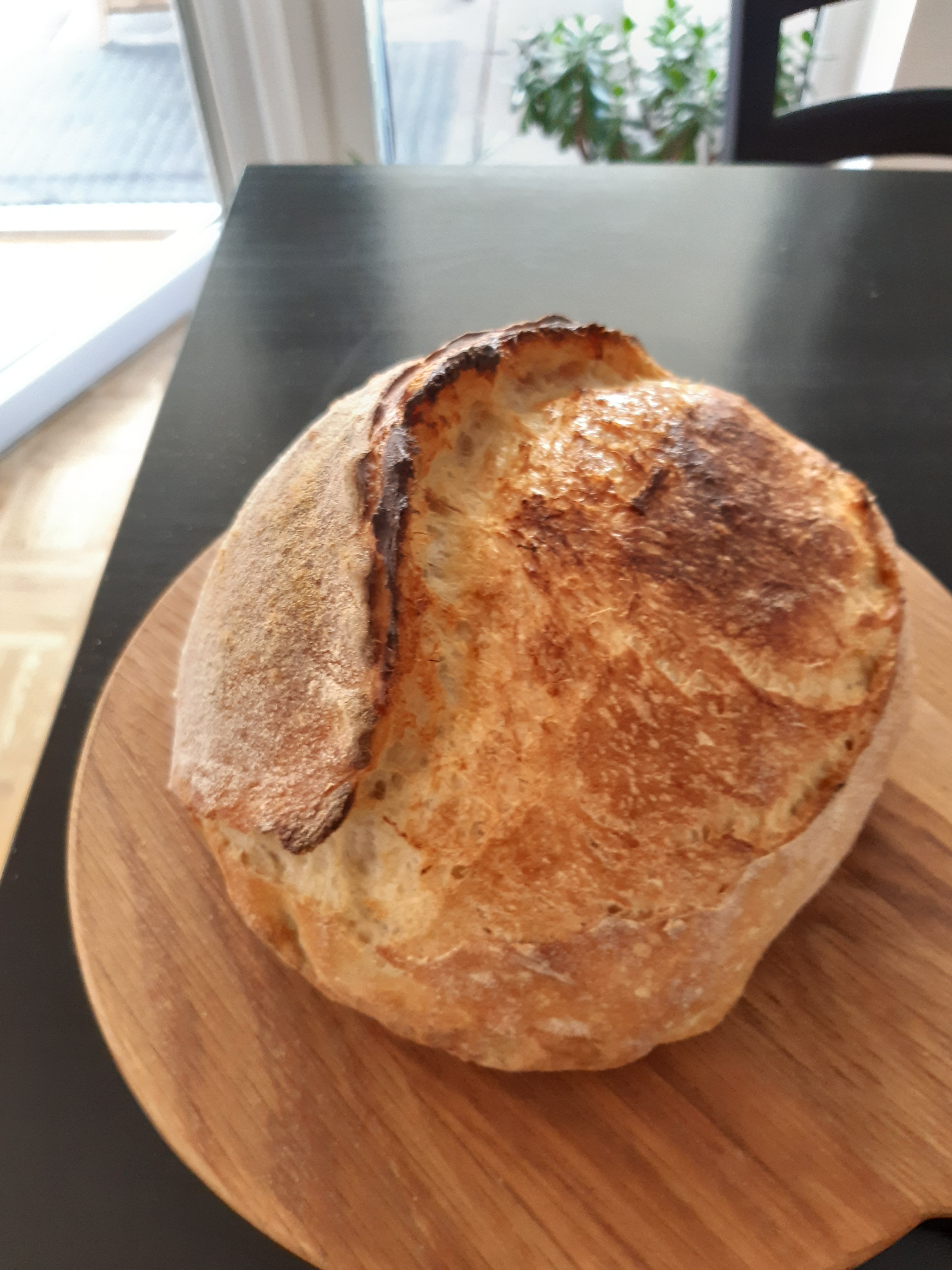 Sourdough Bread