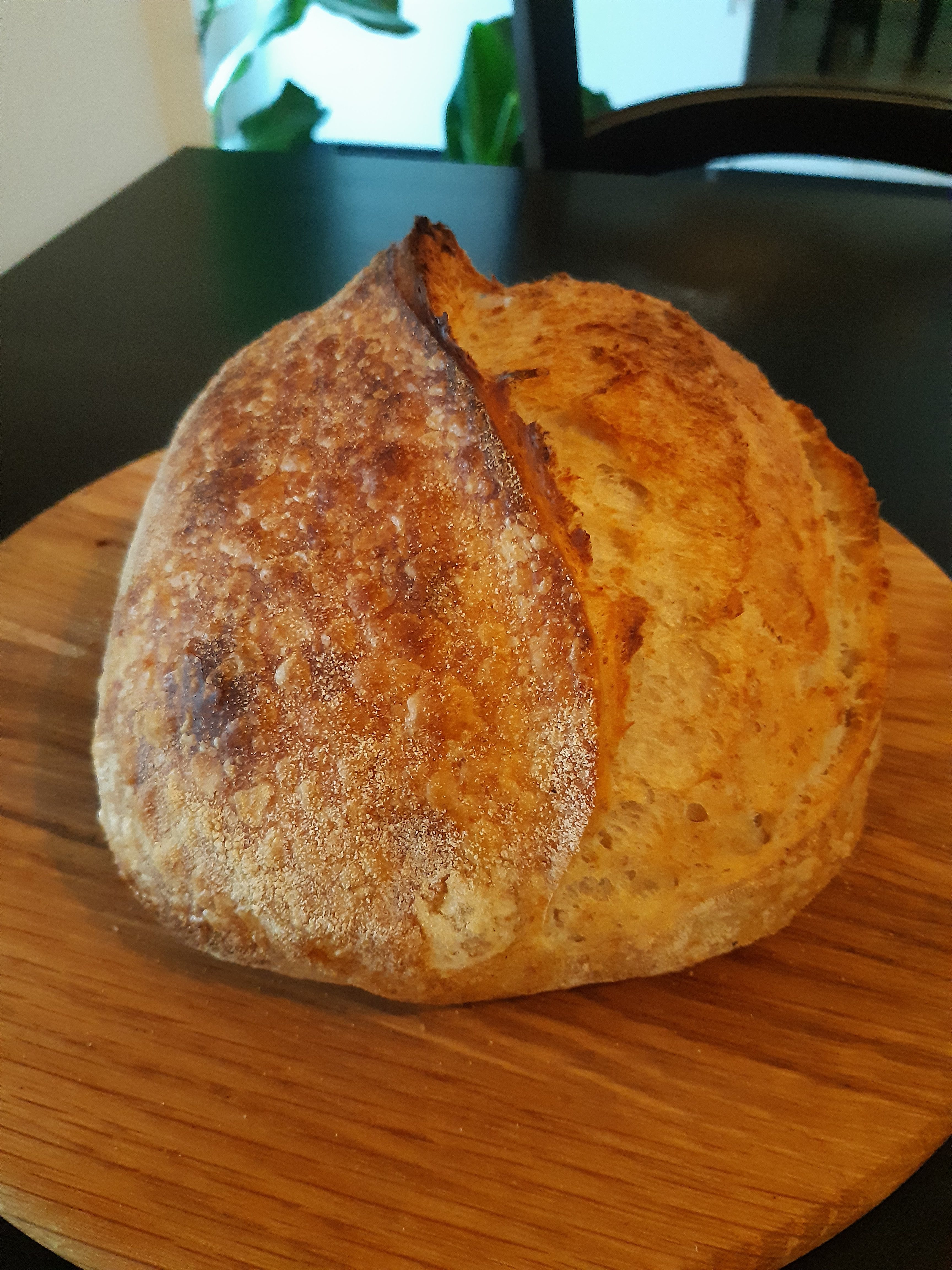 Sourdough Bread