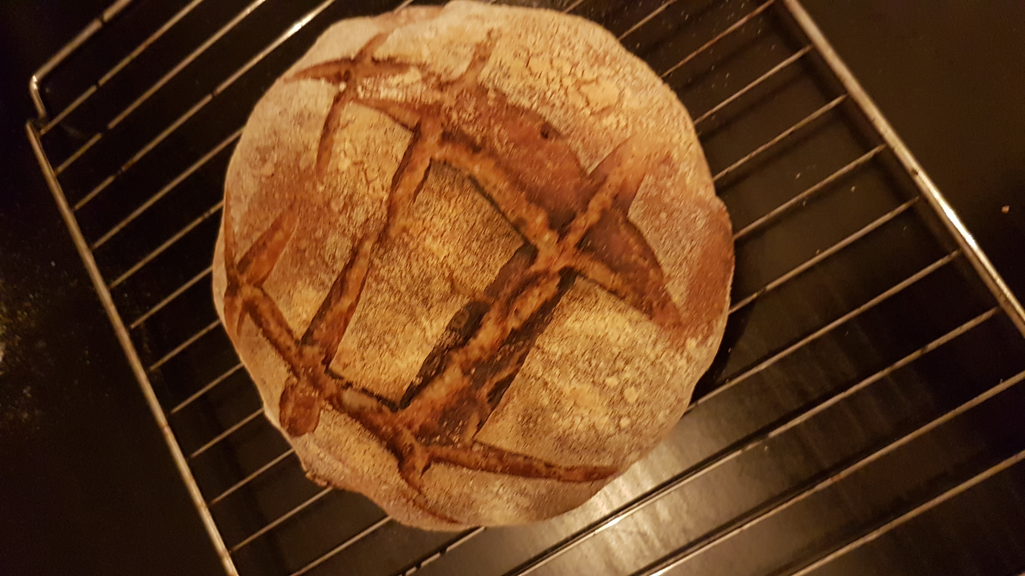 Sourdough Bread