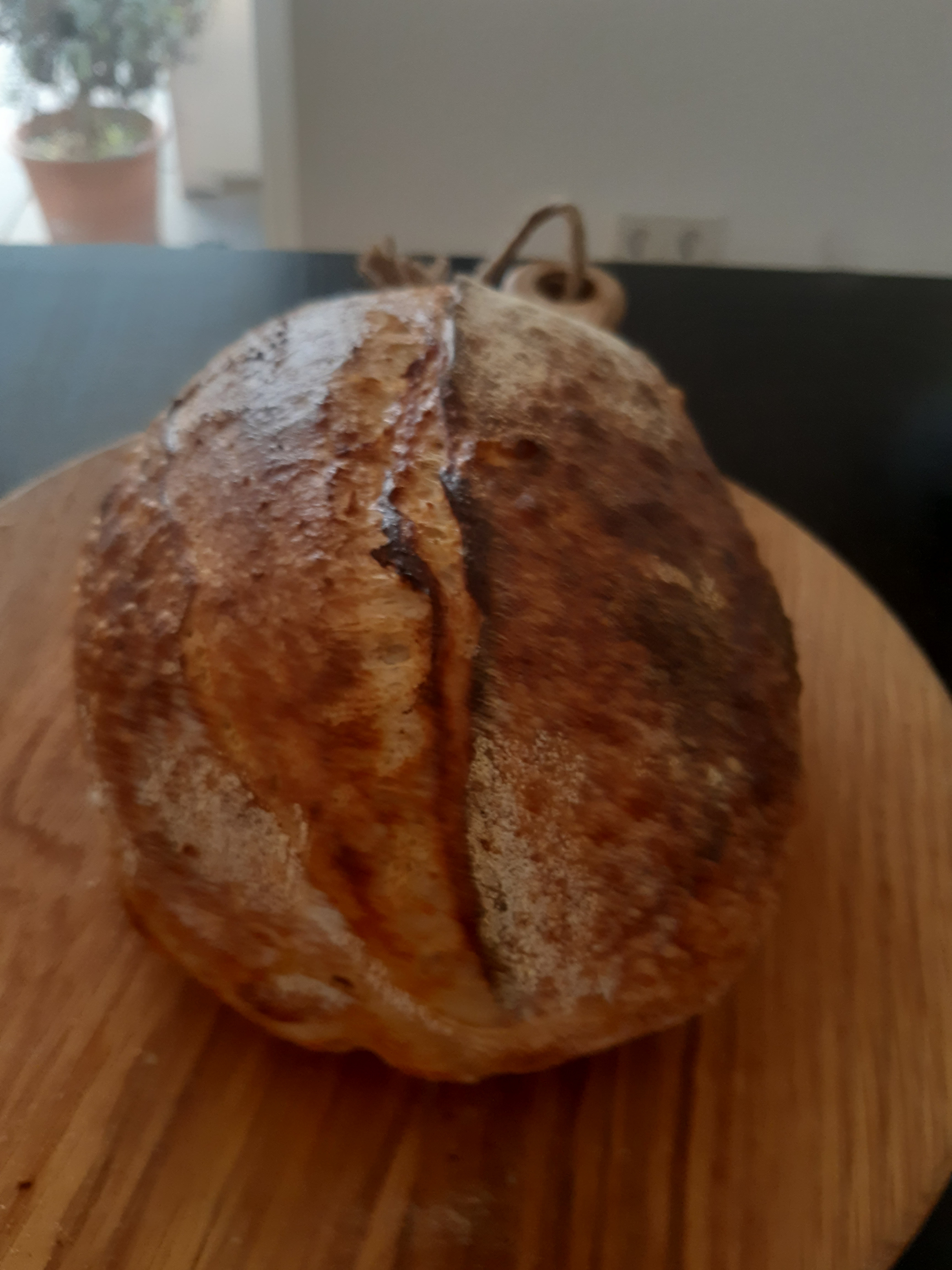 Sourdough Bread