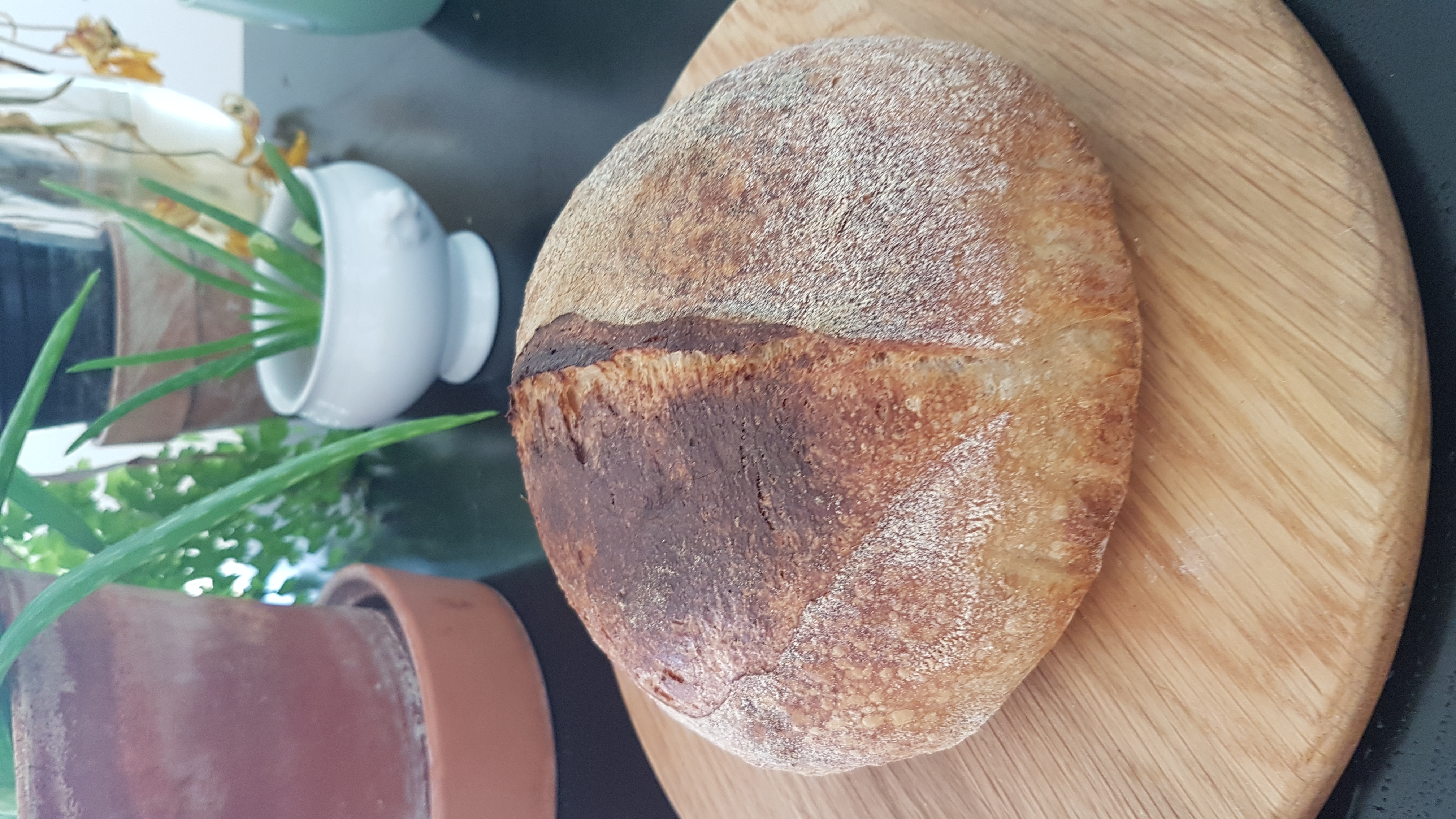 Sourdough Bread