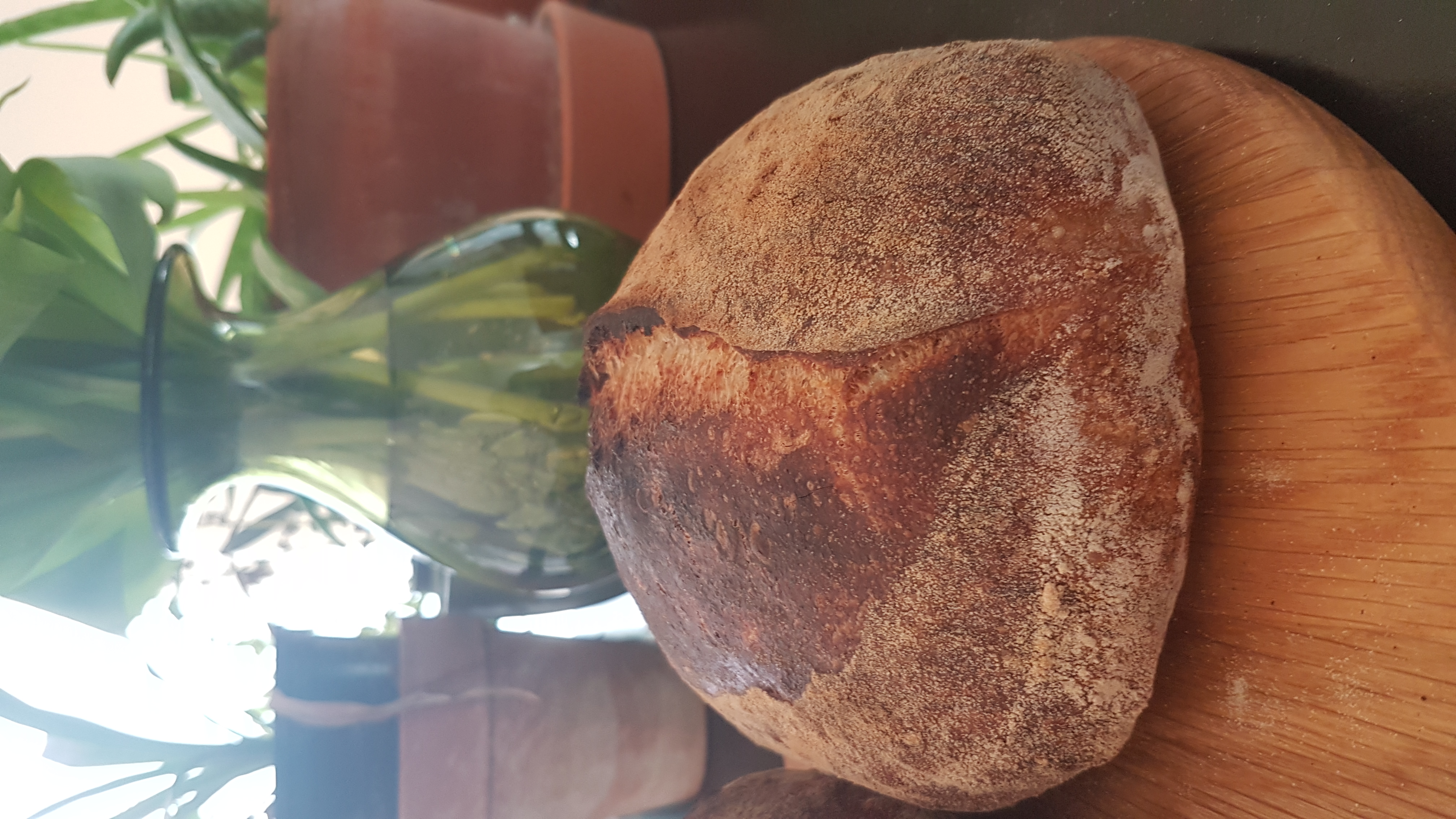 Sourdough Bread