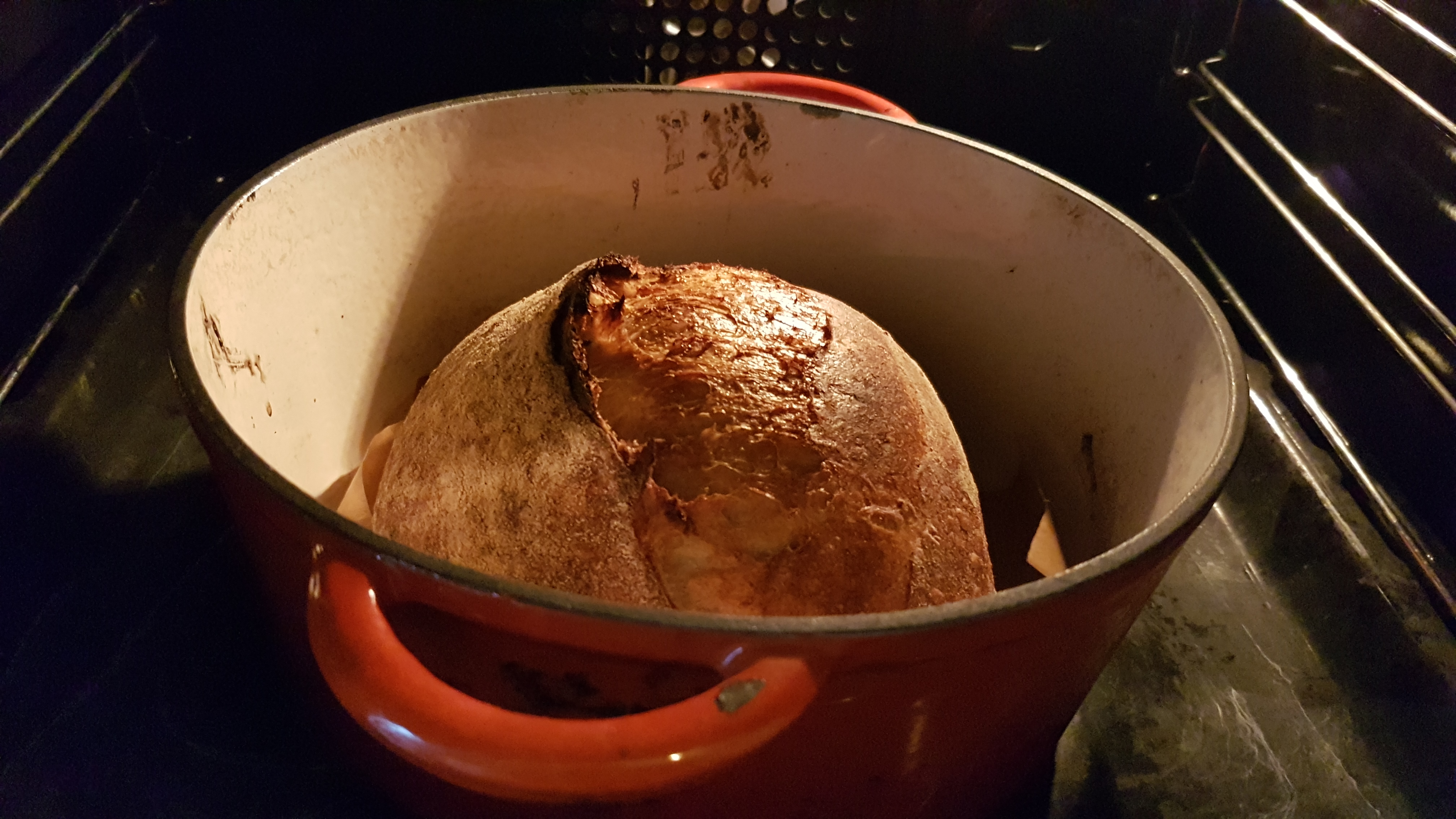 Sourdough Bread