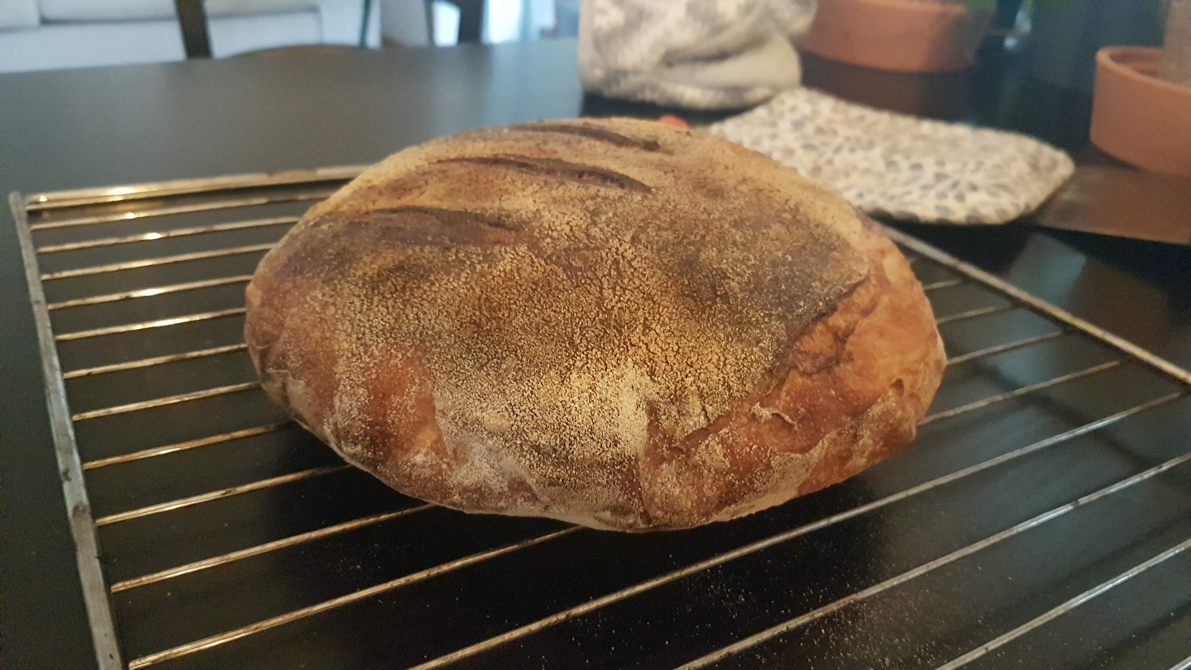 Sourdough Bread