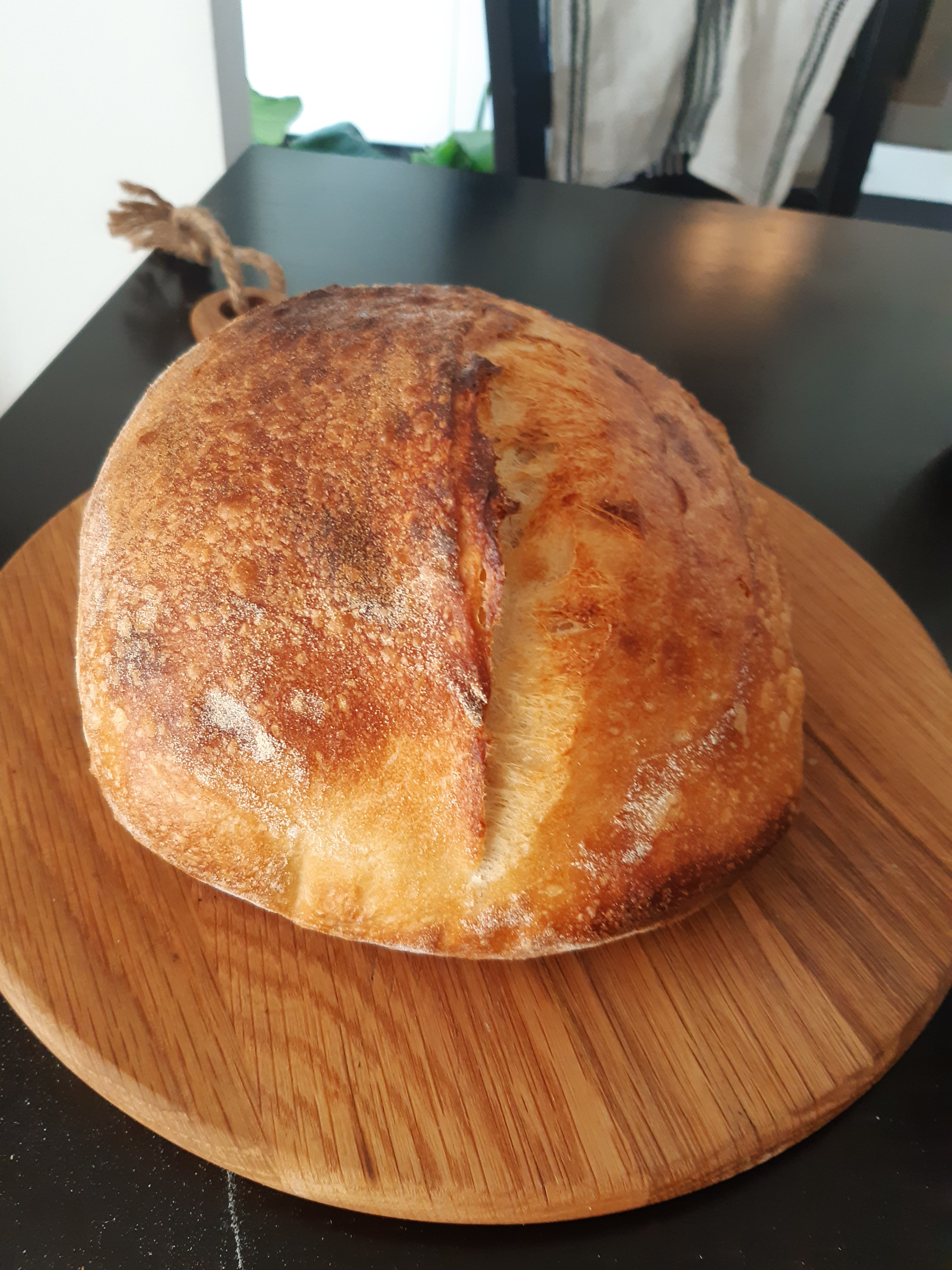 Sourdough Bread