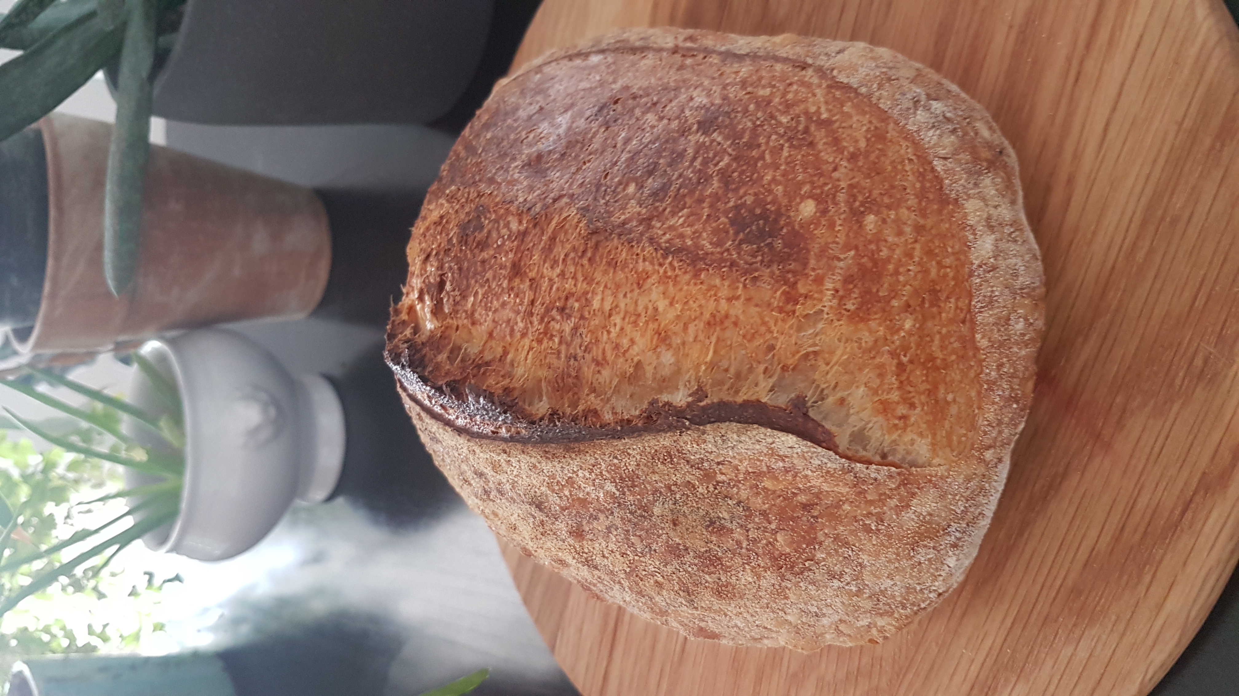 Sourdough Bread