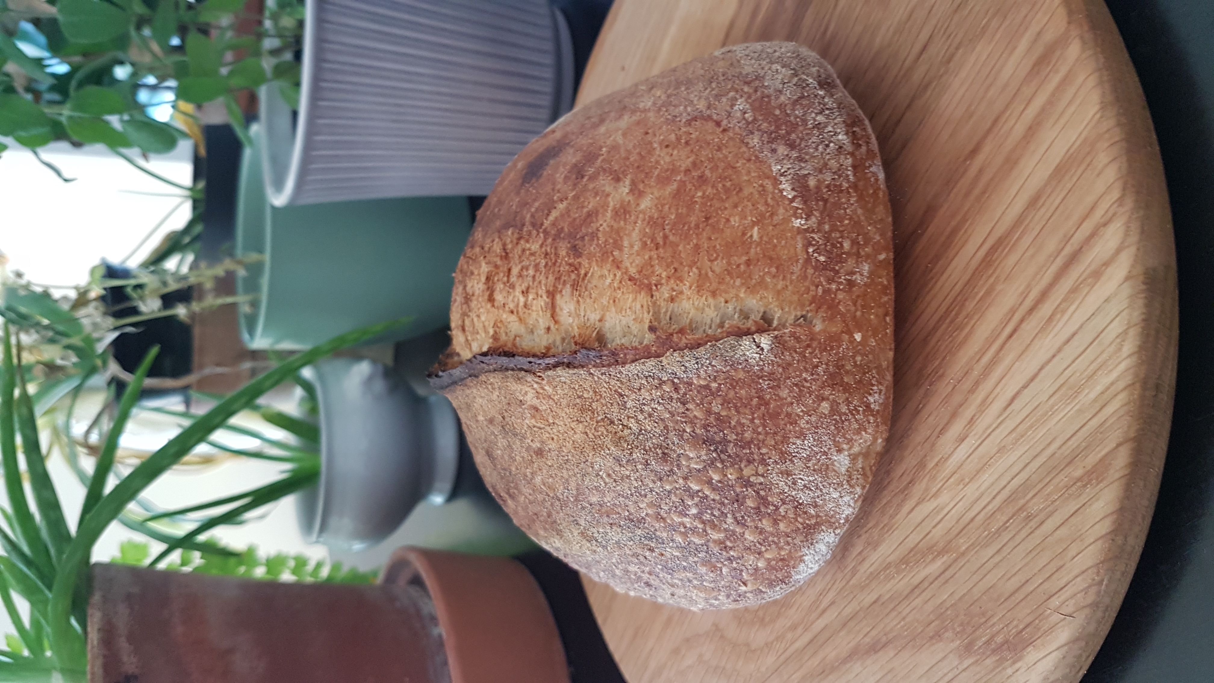 Sourdough Bread